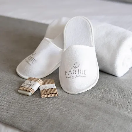 酒店 La Farine 费特希耶