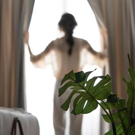 酒店 La Farine 费特希耶