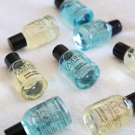 La Farine 3* 费特希耶