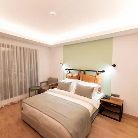 酒店 La Farine 费特希耶