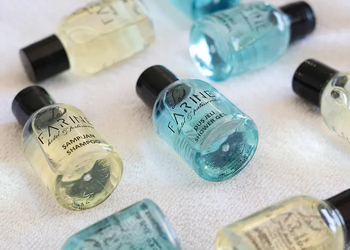 La Farine 3* フェティエ